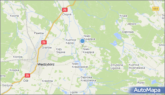 mapa Niwki Książęce, Niwki Książęce gmina Międzybórz na mapie Targeo